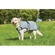 Weatherbeeta Comfitec Reflective Dog Coat Medium (Silver)