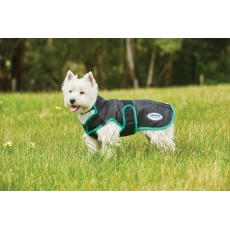 Weatherbeeta Comfitec Windbreaker Free Parka Deluxe Dog Coat (Black/Green)