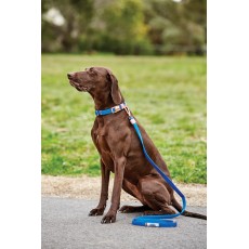 Weatherbeeta Elegance Dog Lead (Blue)