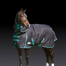 Weatherbeeta Green-Tec 900D Turnout Rug Detach-A-Neck 360g Heavyweight (Black/Bottle Green)