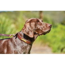 Weatherbeeta Padded Leather Dog Collar (Brown)