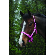 Saxon Economy Headcollar (Pink)