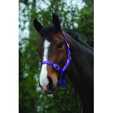 Saxon Economy Headcollar (Purple)