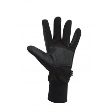 Dublin Adult's Everyday Showerproof Polar Fleece Riding Gloves (Black)