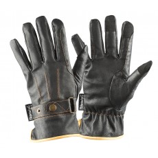 Dublin Adult's Leather Thinsulate Winter Riding Gloves (Black)