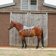 Equilibrium Massage Pad (Extra Large)