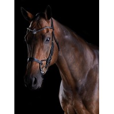 Collegiate Comfitec Crystal Bridle (Black)