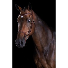 Collegiate Comfitec Training Bridle (Brown)