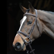 Collegiate Comfort Crown Padded Raised Flash Bridle (Brown)