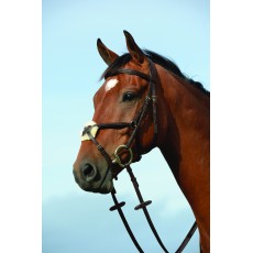 Collegiate Syntovia+ Padded Raised Figure 8 Bridle (Brown)