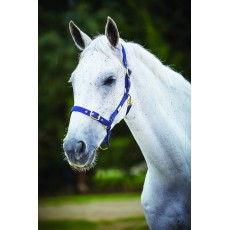 Roma Adjustable Quick Clip Headcollar (Navy)