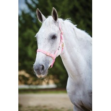 Roma Adjustable Quick Clip Headcollar (Pink)