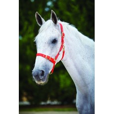 Roma Adjustable Quick Clip Headcollar (Red)