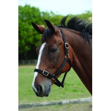 Roma Headcollar & Lead Set (Black)