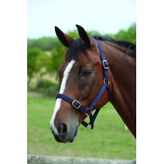 Roma Headcollar & Lead Set (Navy)