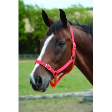 Roma Headcollar & Lead Set (Red)