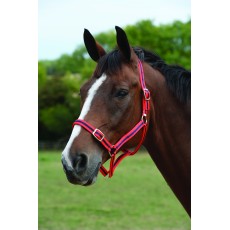 Roma Headcollar & Lead Set (Red/Navy)