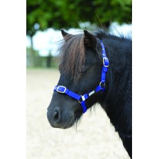 Roma Nylon Brass Buckle Headcollar (Navy)