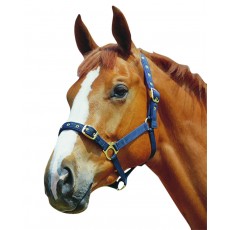 Roma Padded Jersey Headcollar (Hunter Green)