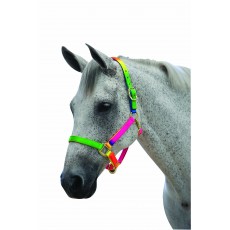 Roma Rainbow Headcollar