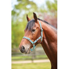 Roma Stripe Headcollar (Grey/Peach/Turquoise)