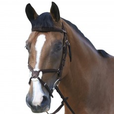 Mark Todd (Clearance) Padded Grackle Bridle (Havana)