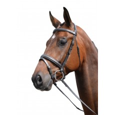 Kincade Padded Headpiece Flash Bridle (Brown)