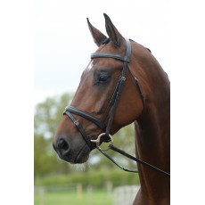 Kincade Flash Bridle (Brown)