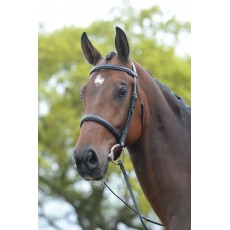 Kincade Raised Cavesson Bridle (Black)