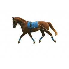 Kincade Lunging Training System