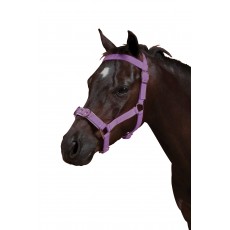 Kincade Nylon Padded Lunge Cavesson (Purple)