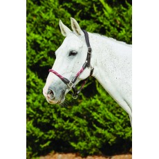 Kincade Leather Rope Headcollar (Burgundy/Brown)