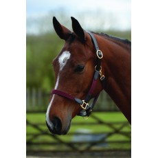 Kincade Leather Web Headcollar (Burgundy/Brown)