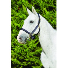 Kincade Deluxe Webbed Headcollar With Leather Crown (Navy)