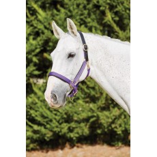 Kincade Deluxe Webbed Headcollar With Leather Crown (Purple)