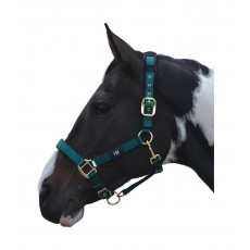 Hy Deluxe Padded Head Collar (Bottle Green)