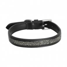 Hy Encrusted Dog Collar (Black)