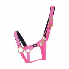 Hy Fieldsafe Small Pony & Foal Head Collar (Pink)
