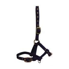 Hy Foal Head Collar (Navy)