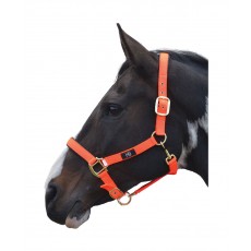 Hy Grand Prix Head Collar (Hot Orange)