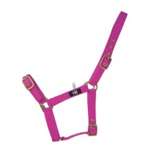 Hy Holly Fully Adjustable Head Collar (Fuchsia)