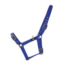 Hy Holly Fully Adjustable Head Collar (Royal)