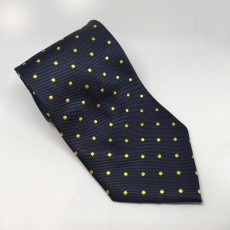 Equetech Polka Dot Show Tie (Navy/Gold)