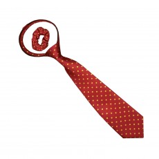 Equetech Polka Dot Zipper Tie (Red/Gold)