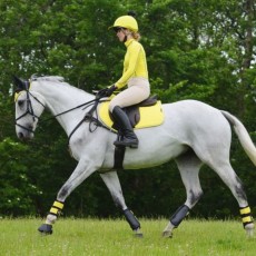 *OUTLET* Woof Wear Ladies Performance Riding Shirt (Sunshine Yellow)