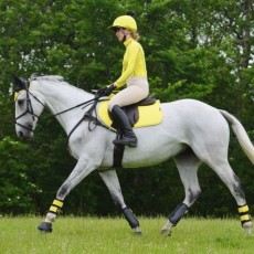 Woof Wear Ladies Performance Riding Shirt (Sunshine Yellow)