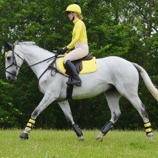 Woof Wear Close Contact Saddle Cloth (Sunshine Yellow)