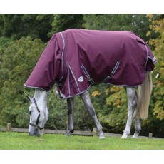 Weatherbeeta ComfiTec Plus Dynamic II Turnout Detach Neck 220g Mediumweight Turnout (Maroon)
