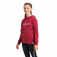 Ariat Youth's 3D Logo 2.0 Hoodie (Red Bud)