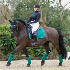 *OUTLET* Woof Wear Vision Fly Veil (British Racing Green)